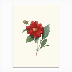 Antique Vintage Flower Illustration - Red 2 Canvas Print