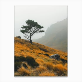 Lone Tree In The Fog Canvas Print