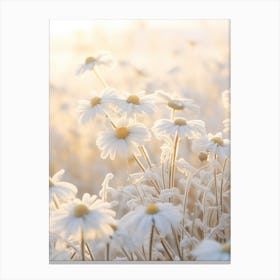 Frosty Botanical Oxeye Daisy 2 Canvas Print