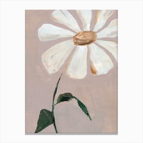 Daisy Canvas Print