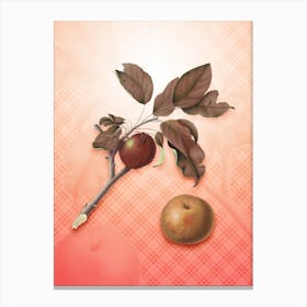 Apple Vintage Botanical in Peach Fuzz Tartan Plaid Pattern n.0221 Canvas Print