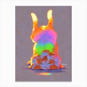 Rainbow Cat 1 Canvas Print