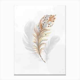 Golden and white feather Canvas Print