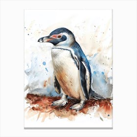 Humboldt Penguin Dunedin Taiaroa Head Watercolour Painting 1 Canvas Print