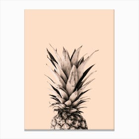 Pineapple collage 1 Canvas Print