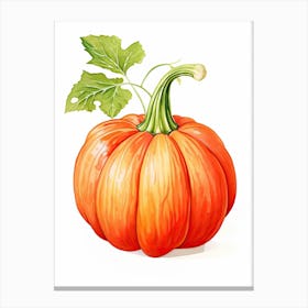 Red Kuri Squash Pumpkin Watercolour Illustration 1 Canvas Print