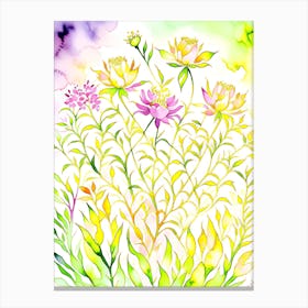 Lotus Flower Watercolor Painting Canvas Print