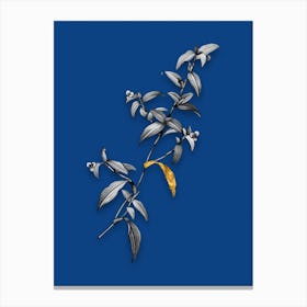 Vintage Birdbill Dayflower Black and White Gold Leaf Floral Art on Midnight Blue n.0553 Canvas Print
