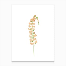 Wild flower 2 Canvas Print