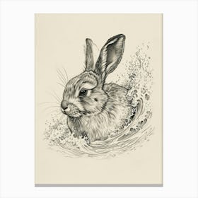 Rhinelander Rabbit Drawing 3 Canvas Print
