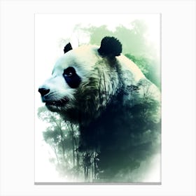 Panda Bear Canvas Print