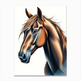 Brown Horse Color Portrait Drawing Canvas Print