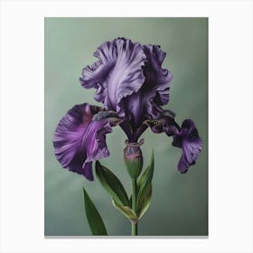 Iris Fl 10 Canvas Print