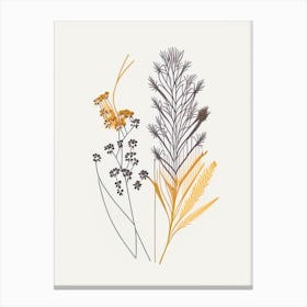 Caraway Spices And Herbs Minimal Line Drawing 1 Canvas Print