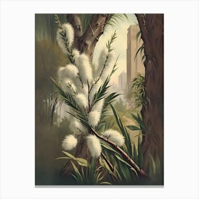 Eucalyptus 8 Canvas Print