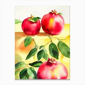 Pomegranate Italian Watercolour fruit Canvas Print