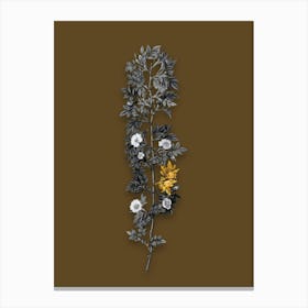 Vintage Cuspidate Rose Black and White Gold Leaf Floral Art on Coffee Brown n.1192 Canvas Print