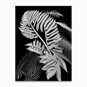 Mimosa Leaf Linocut 1 Canvas Print