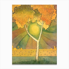 Birch Tree Sun Nature Birch Autumn Canvas Print