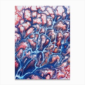 Coral Sea Canvas Print