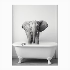 Elephant In The Bath Canvas Print