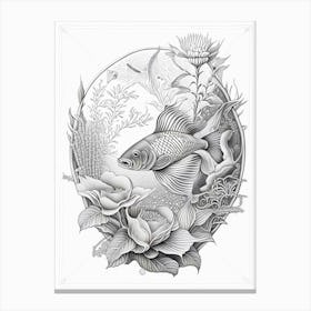 Goshiki Koi Fish Haeckel Style Illustastration Canvas Print