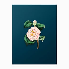 Vintage Gray's Invincible Camellia Flower Botanical Art on Teal Blue n.0728 Canvas Print