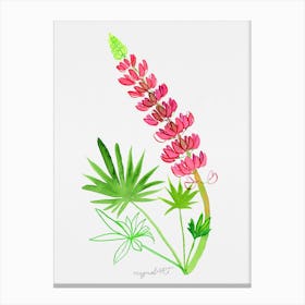 Pink Lupine Watercolor Artwork Canvas Print