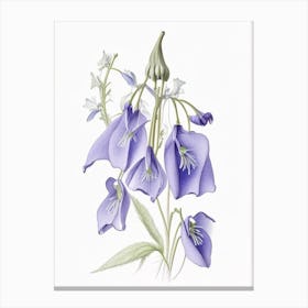 Canterbury Bell Floral Quentin Blake Inspired Illustration 1 Flower Canvas Print