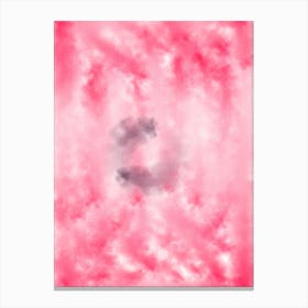 Pink Abstract Abstract Painting Canvas Print