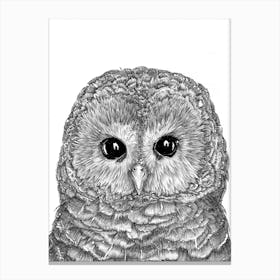 Tiny Owl Canvas Print