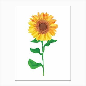 Sunflower Canvas Print