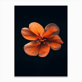 Orange Flower On Black Background 2 Canvas Print