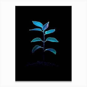 Plant In The Dark 23 Canvas Print