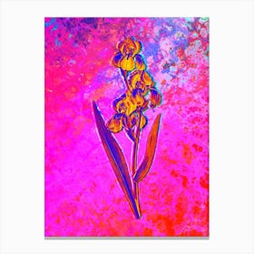Dalmatian Iris Botanical in Acid Neon Pink Green and Blue n.0034 Canvas Print