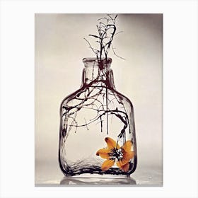 Flower In A Bottle Canvas Print