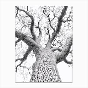 Black And White Tree 1 Canvas Print