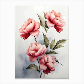 Peonies 2 Canvas Print