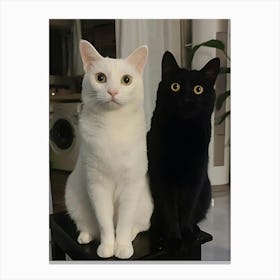 Black And White Cats 1 Canvas Print