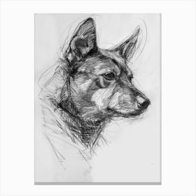 Minature Dog Charcoal Line 1 Canvas Print