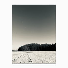 Tracks In The Snow Canvas Print