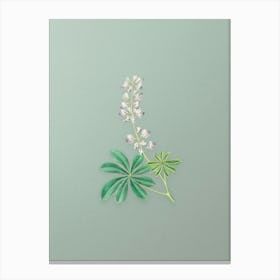 Vintage Half Shrubby Lupine Flower Botanical Art on Mint Green n.0993 Canvas Print