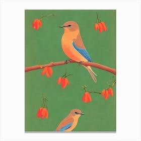 Eastern Bluebird 2 Midcentury Illustration Bird Canvas Print