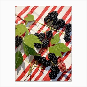 Elderberries Fruit Summer Illustration 4 Canvas Print