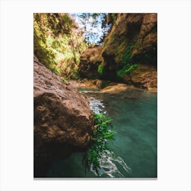 Water In The Canyon Canvas Print
