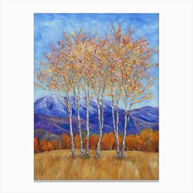 Birch Trees Canvas Print