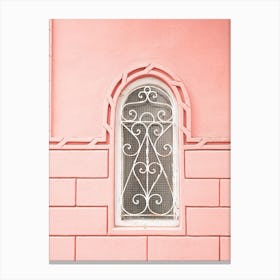 Pink Wall Canvas Print