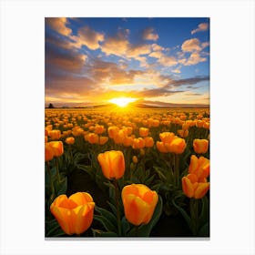 Tulips At Sunset Canvas Print