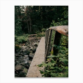 Wooden Footbridge Canvas Print