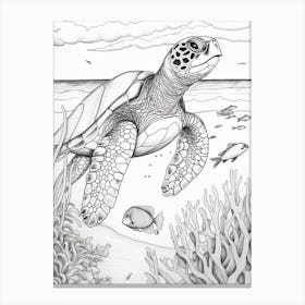 Realistic Sea Turtle Line Illustration Canvas Print